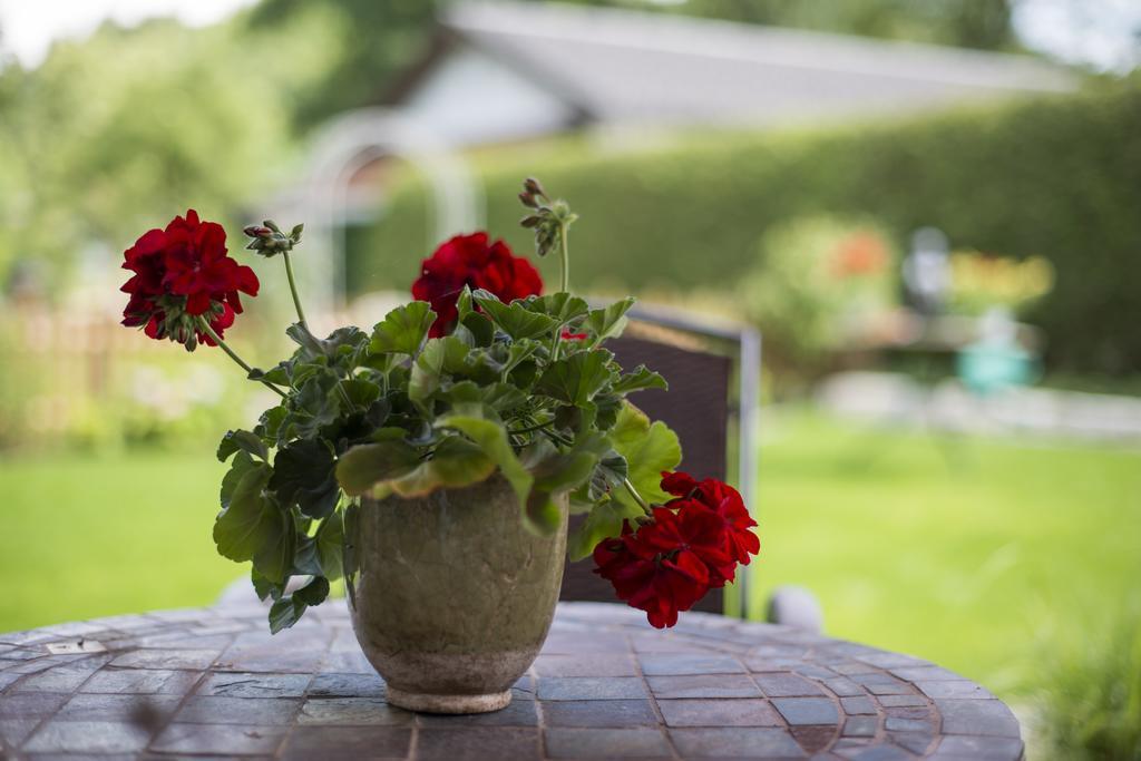 Pension Wendelstein Miesbach Εξωτερικό φωτογραφία